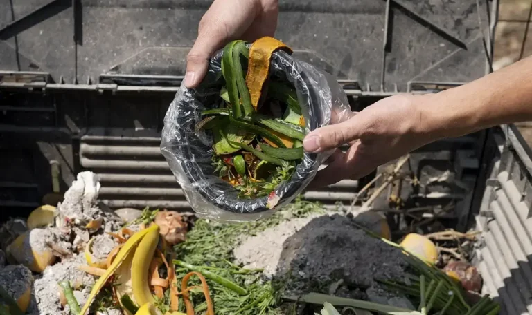 Waste and Disposal Services for Food Waste Solutions How to Save Money and the Planet Blog
