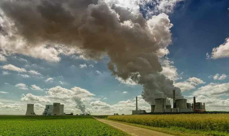 Waste and Disposal services for The Environmental Impact of Improper Waste Disposal Blog