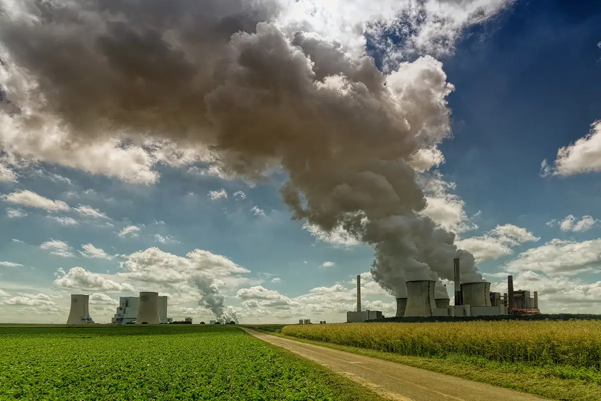 Waste and Disposal services for The Environmental Impact of Improper Waste Disposal Blog