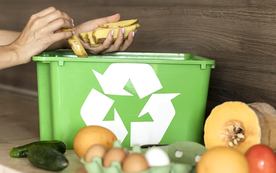 Waste and Disposal Services for Food Waste Recycling