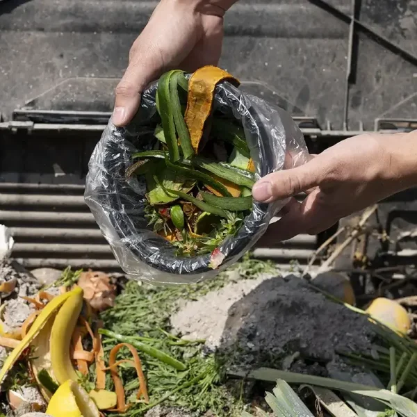 Waste and Disposal Services for Food Waste Solutions How to Save Money and the Planet Blog